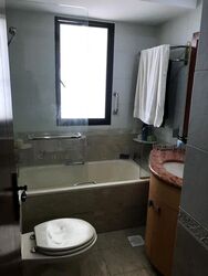 The Mayfair (D22), Condominium #614209941